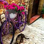 Il Borgo Antico Frühstückspension Rocca Massima